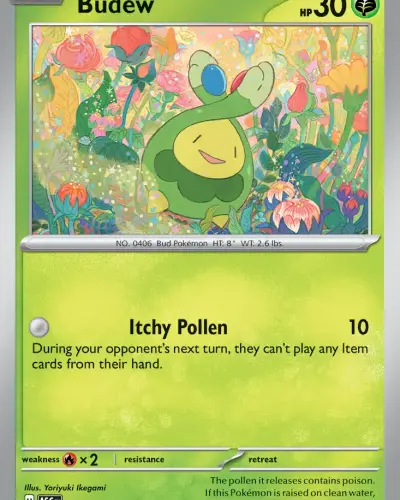 Budew