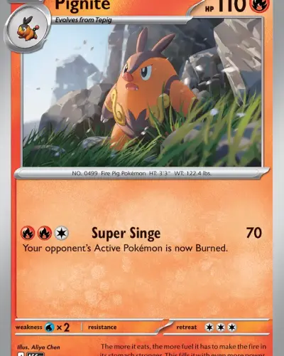 Tepig