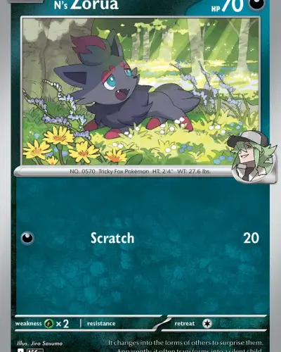 N's Zorua