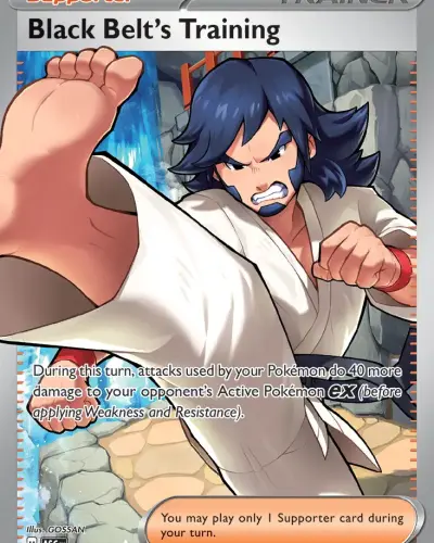 Black Belt's Training