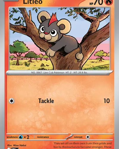 Litleo