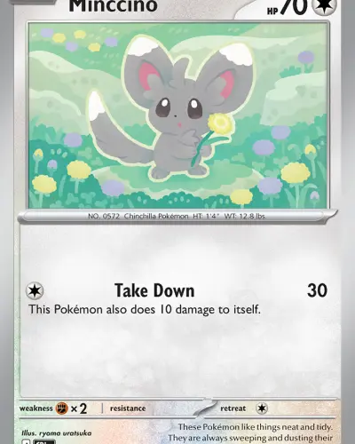 Minccino