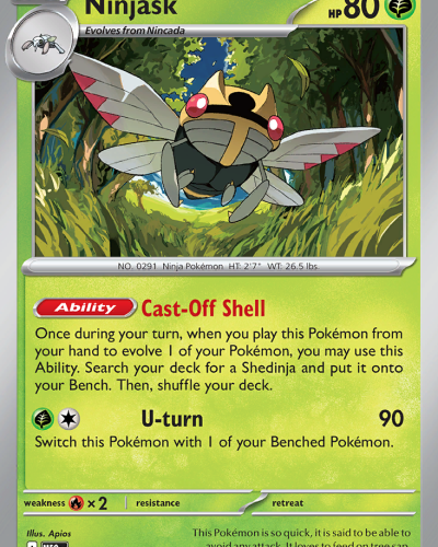 Ninjask