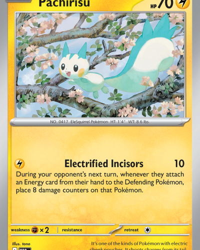 Pachirisu