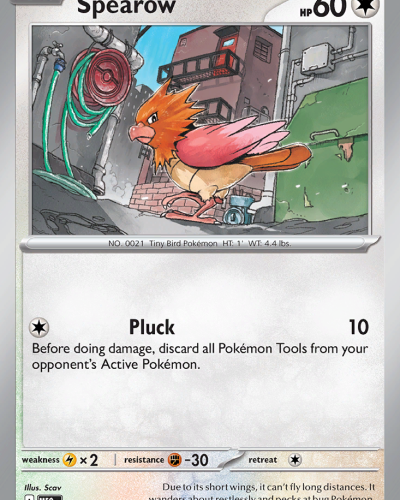 Spearow