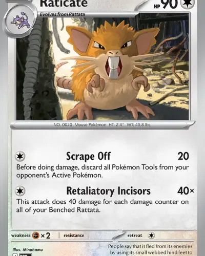 Raticate