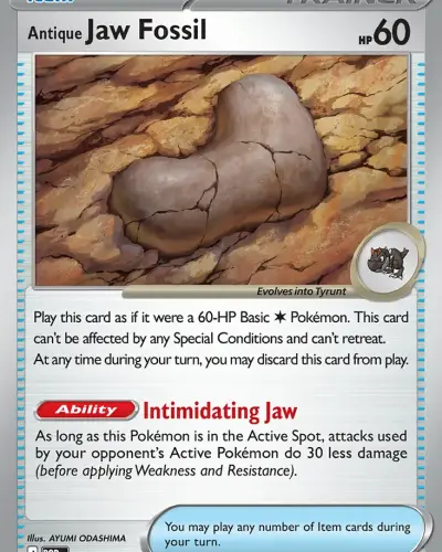 Antique Jaw Fossil