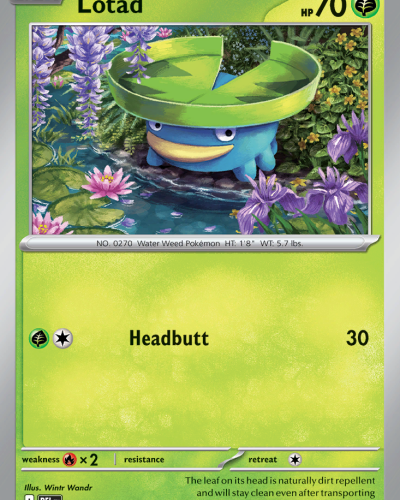 Lotad