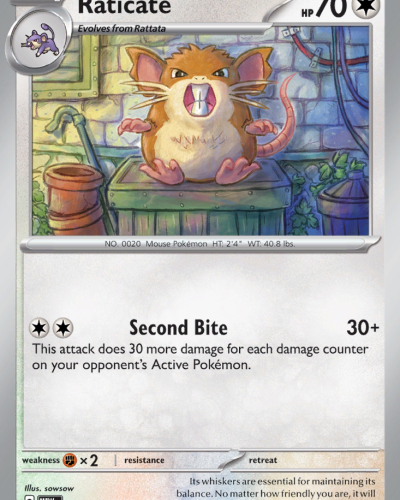 Raticate
