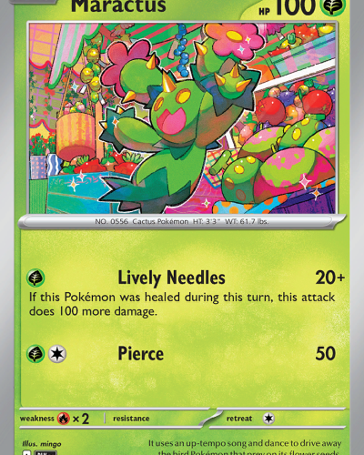 Maractus