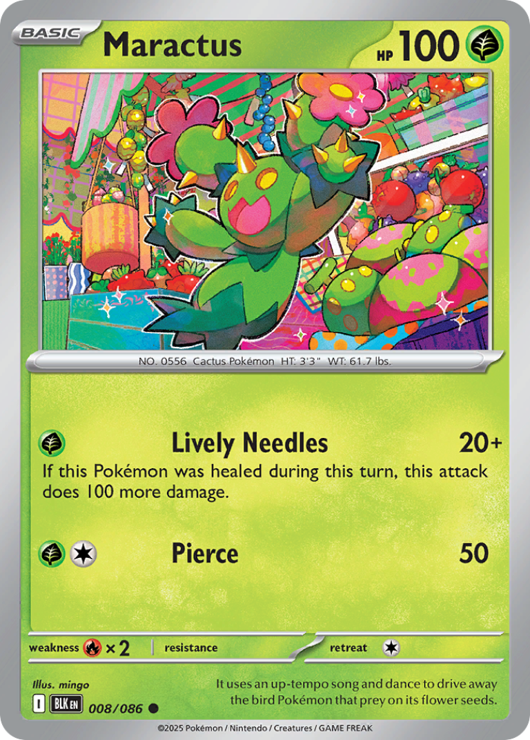 Maractus