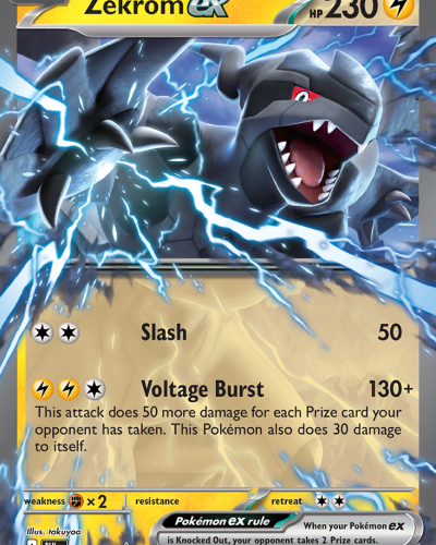 Zekrom ex
