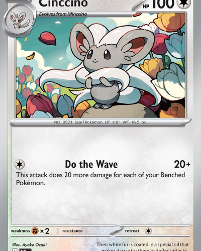 Cinccino