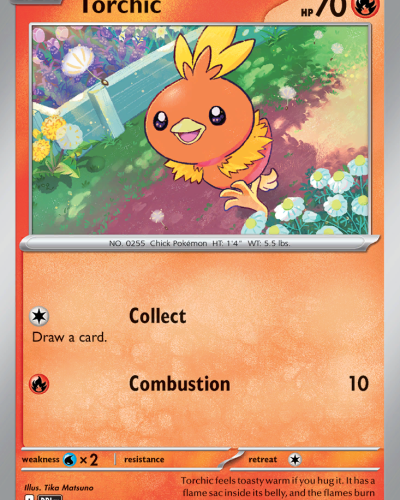Torchic