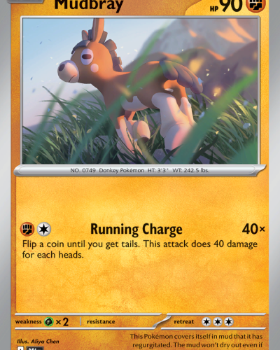 Mudbray