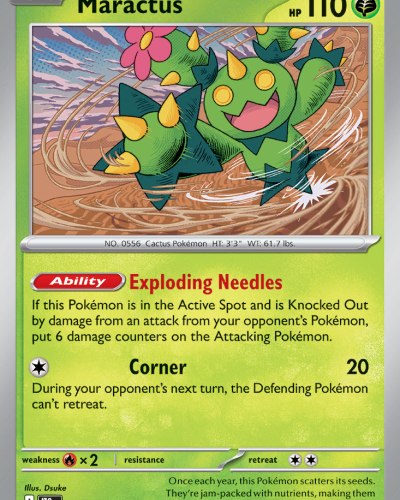 Maractus