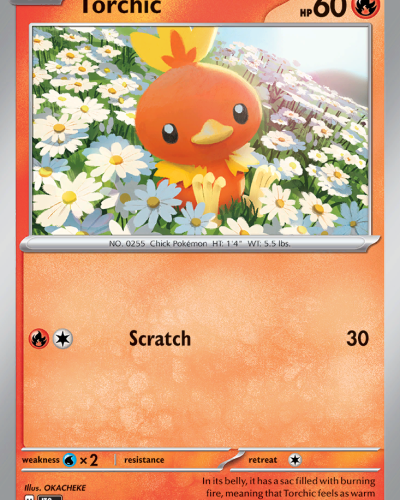 Torchic