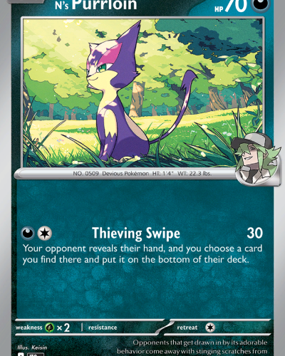 N's Purrloin