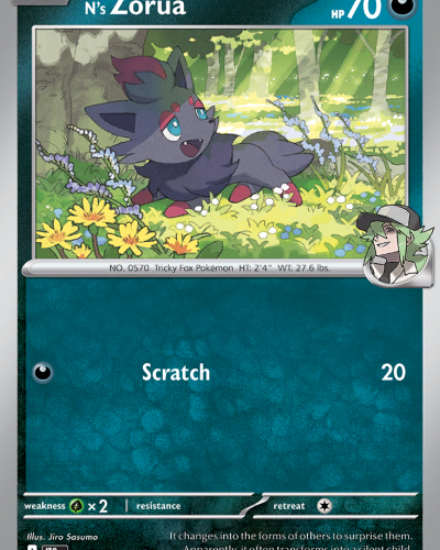 N's Zorua