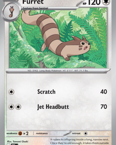 Furret