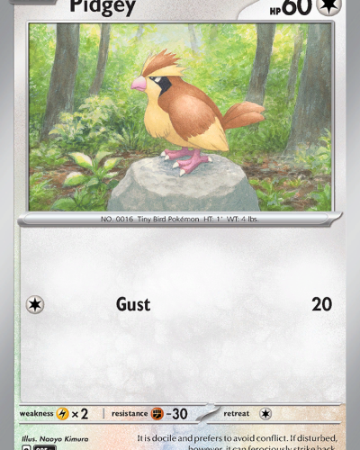 Pidgey