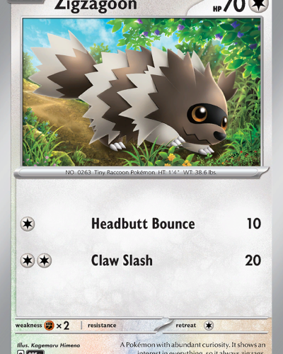 Zigzagoon