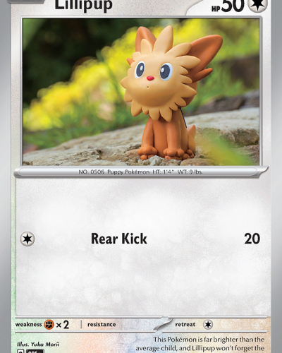 Lillipup