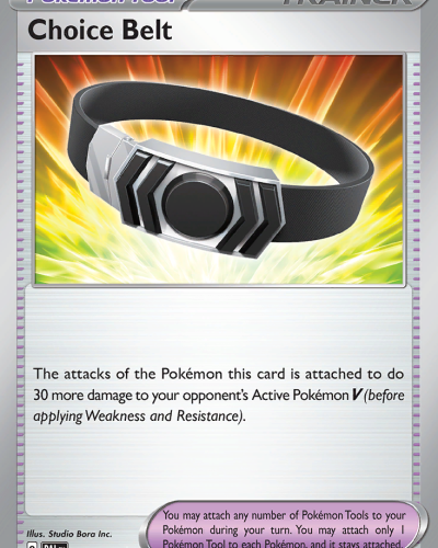Choice Belt