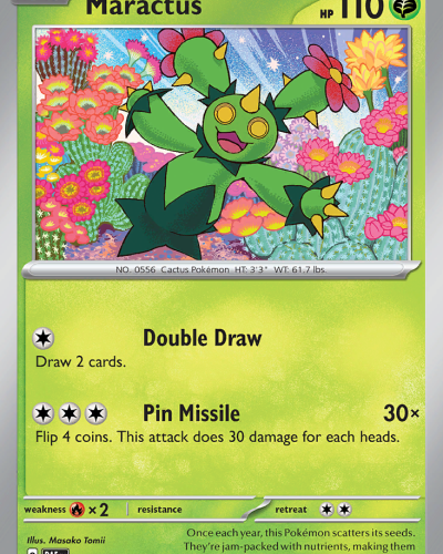 Maractus