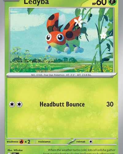 Ledyba