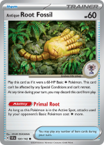 Anrique Root Fossil