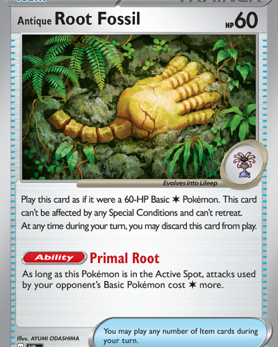 Anrique Root Fossil