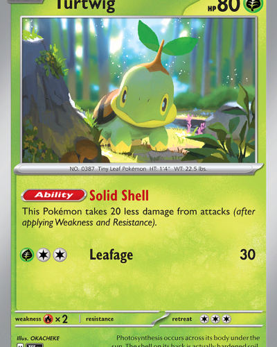 Turtwig