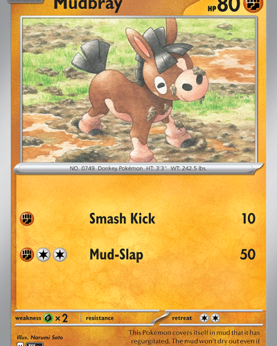 Mudbray
