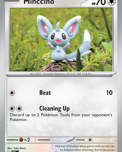 Minccino