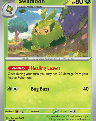 Swadloon