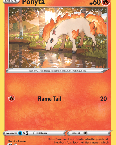 Ponyta
