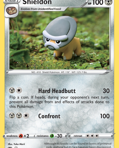 Shieldon